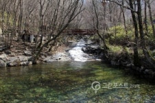 국립자연휴양림, 올해도 여름휴가지로 인기몰이