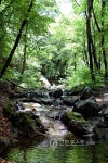 산림청, 8월 힐링여행 명소 산음자연휴양림 추천