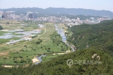 대전시, 갑천 습지생태계 보호지역 지정 본격 추진