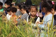 서울시, 친환경 녹색 체험 위한 무료 프로그램 진행