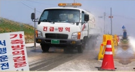 AI, 경기·충남·전남까지…안전지대는 없다