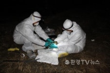 경기·충청도 스탠드 스틸…AI 서부 전역 확산