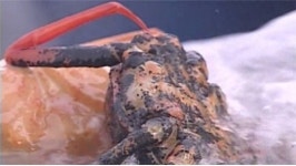 무림피엔피·대상, 산업폐기물 해양투기 1·2위