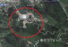 <속보>구출된 단원고 교감, 소나무에 목매 숨져