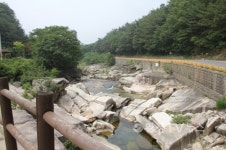 국립황정산자연휴양림 7월의 휴양림 선정