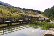 지친 심신을 달래는 힐링 휴가(6)-두타연