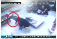 인천 어린이집 교사 폭행 사건에…정부 행정처분 검토