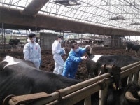 AI·구제역에 서울시도 비상