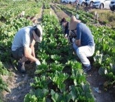 함께서울 친환경농장 선착순 분양