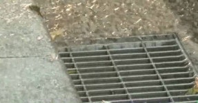 하수관로 기술진단 업체 등록 요건 완화…중기 틈새시장 열려