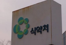 급식 위생기준 위반 학교·업체 80곳 무더기 적발
