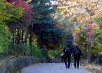 금천구, 호암산 자락에 치유의 숲 조성
