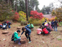 경기도 잣향기푸른숲 체험프로그램 참가자 모집