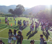 경남교육청, 유해물질 위협 학교 인조잔디 교체키로
