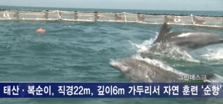 <그린데스크>“많이 먹어”…태산·복순이, 자연 적응 순항
