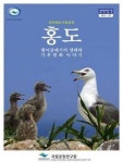 괭이 갈매기..먹이찾아 서울-홍천 거리 날아가
