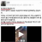 멸종위기 악어 불법사육 '페북 스타' 체포, 사유는 '상표법' 위반?