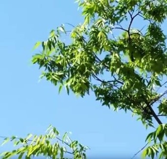 [날씨는 환경TV] 오늘은 어린이날 전국 맑다가 밤부터 비, 미세먼지 농도 ‘보통’ “내일은 흐려요”
