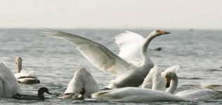 [에코투어③] 부산서 즐기는 도시 속 생태체험과 힐링여행