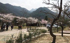 [봄맞이 캠핑, 어디로 갈까] 다도해해상국립공원 팔영산야영장