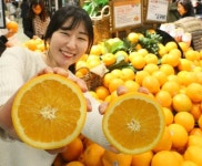 오렌지의 계절…킴스클럽 파격 세일 ‘파워축제’ 진행