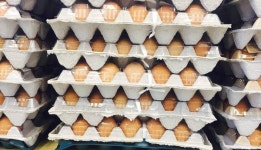 계란 한판에 다시 1만원? 산란계 부족에 수요증가