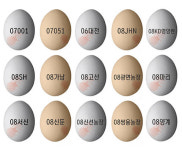 [그래픽] 살충제 계란 번호,  부적합 32곳 中 친환경 28곳