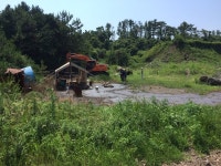 가축분뇨 1만7천톤 불법배출...양돈농가 무더기 적발