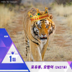 [카드뉴스] 자연 속 프로듀스101, 국민이 선택한 생물 톱텐