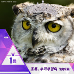 [카드뉴스] 자연 속 프로듀스101, 국민이 선택한 생물 톱텐