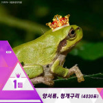 [카드뉴스] 자연 속 프로듀스101, 국민이 선택한 생물 톱텐