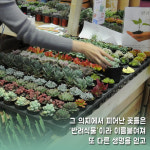 [카드뉴스] 자연을 담은 꿈, 푸드위크에서 만난 '청년농부'