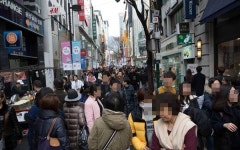 전국 표준지 공시지가 6%↑...명동 네이처리퍼블릭 15년째 땅값 1위