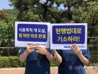 식용 목적 개 도살 최초 위법 판결...개식용 종식시대 열겠다