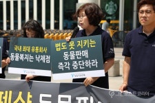 동물자유연대 몰리스펫샵 26곳 모두 동물보호법 위반
