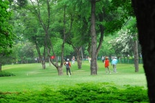 400개 향토작물이 주렁주렁...잠실에 조롱박 터널 조성