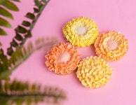 [홍기자의 마니아+] 달콤하고 즐거운 꿈 한 조각 아이싱쿠키