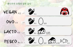 [비건라이프] 풀만 먹고 어떻게 사냐고요?