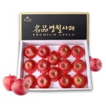 인터넷 쇼핑몰 영월몰 신규 입점 기업 모집