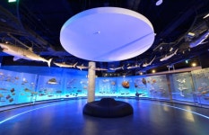 초등학생들, 방학기간 해양생물 다양성 배운다