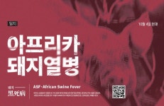 [일지] DMZ 넘어오는 멧돼지 발견 즉시 사살...아프리카돼지열병 초비상