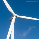 에스티로더, 가상전력구매계약 통해 RE100향해 성큼