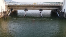 낙동강 하굿둑 개방 3차 실험 결과…물고기 종류·개체수↑