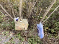[폰카로 읽는 생활환경⑰] 산에 쓰레기를 함부로 버리지 마세요