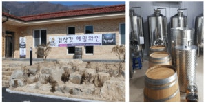 쥐불놀이, 와인, 송어··· 영월로 떠나는  흥겨운 미식 여행