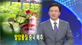 중국 발암물질 배추, 포름알데히드 검출 충격 줘!