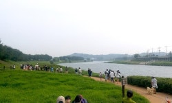 반려동물과 함께 순천 대행진! 순천만세계동물영화제로 향하는 힐링산책 인기!