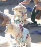 삼시세끼 최화정, 밍키에게 명품 패딩 선물해 눈길 끌어!