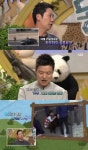 동물농장 납치된 차우차우, 실종사건 보도날 돌아왔다 다행