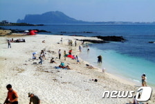 제주 우도 홍조단괴해빈 유실원인 호안벽과 해안도로 때문